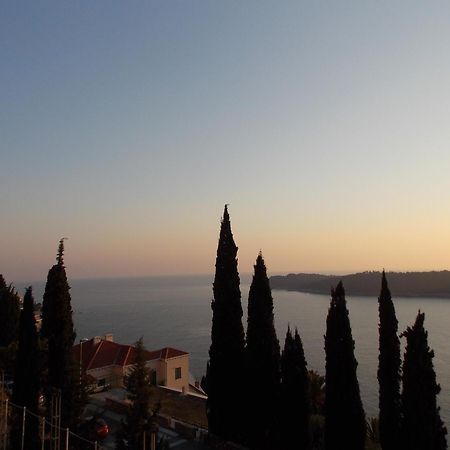 Apartment Matea Zlatni Potok Dubrovnik Eksteriør billede